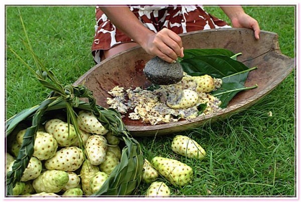 отзывы о соке нони